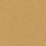 Mayer čalounění stolička 1250 08, AQUA CLEAN 30469