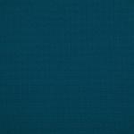 RIM- RW 2102, FAME-4169