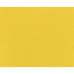 TS - lakovaná nerezová podnož barvy, 123 žlutá