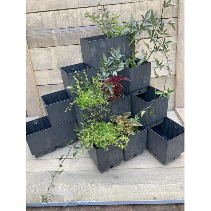 Flexi Element pyramida 50 x 75 cm