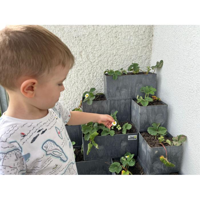 pyramida flexi element