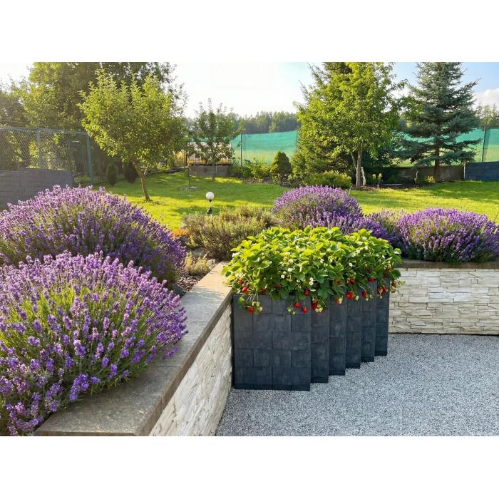 Rohový záhon Flexi element 50x125x75cm